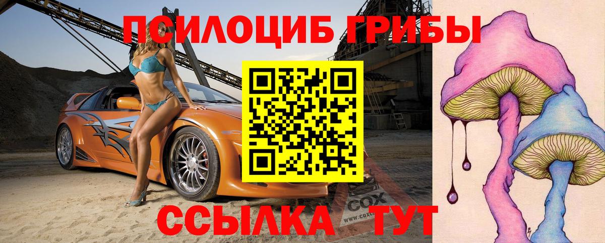 Псилоцибиновые грибы GOLDEN TEACHER  Галлюциногенные грибы MAGIC MUSHROOMS  Фролово  Вход с VPN 