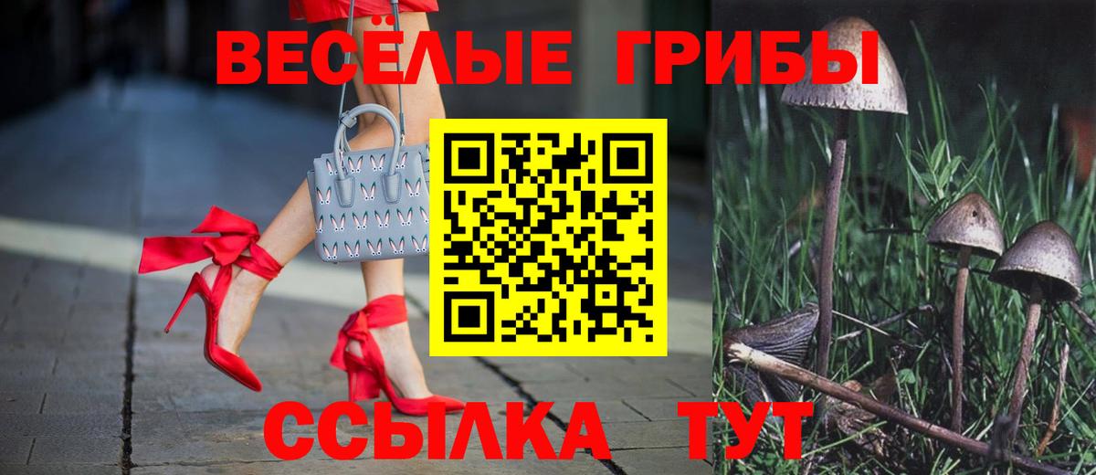 ГАШ Фролово
