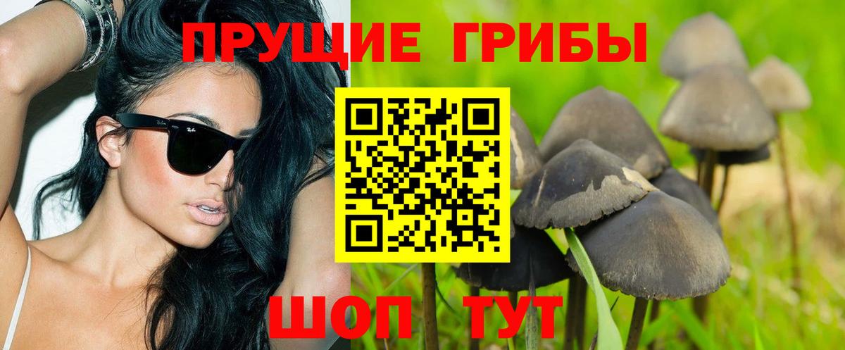 Псилоцибиновые грибы прущие грибы Фролово